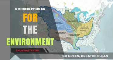 Dakota Pipeline: Environmental Impact and Concerns Explained