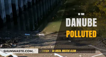 Danube Pollution: A Crisis in Europe's Waterways