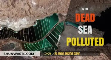 The Dead Sea Pollution: Is It Still Pristine?