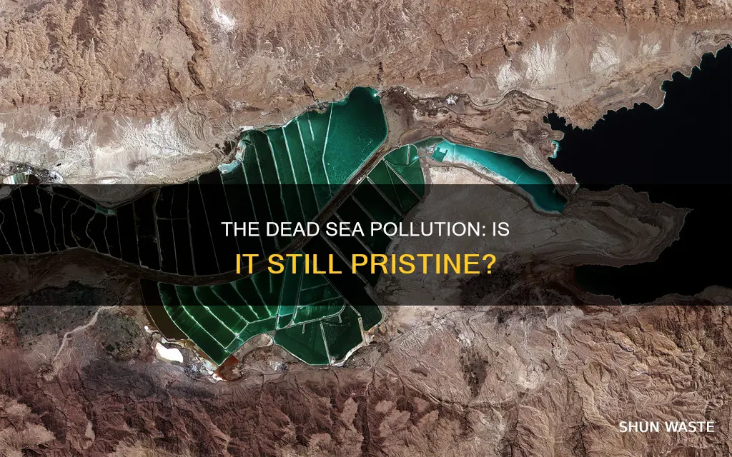 is the dead sea polluted