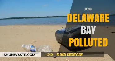 Delaware Bay: A Polluted Paradise?