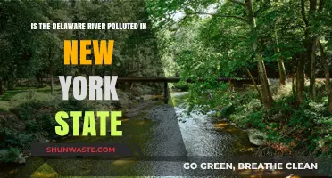 Delaware River Pollution: New York's Troubled Waters