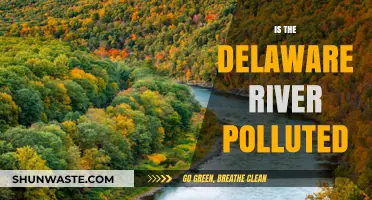 The Delaware River: A Polluted Paradise?
