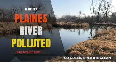 Des Plaines River: A Polluted Waterway?