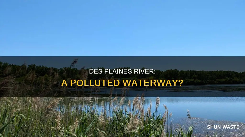 is the des plaines river polluted