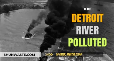 Detroit River: A Polluted Waterway?
