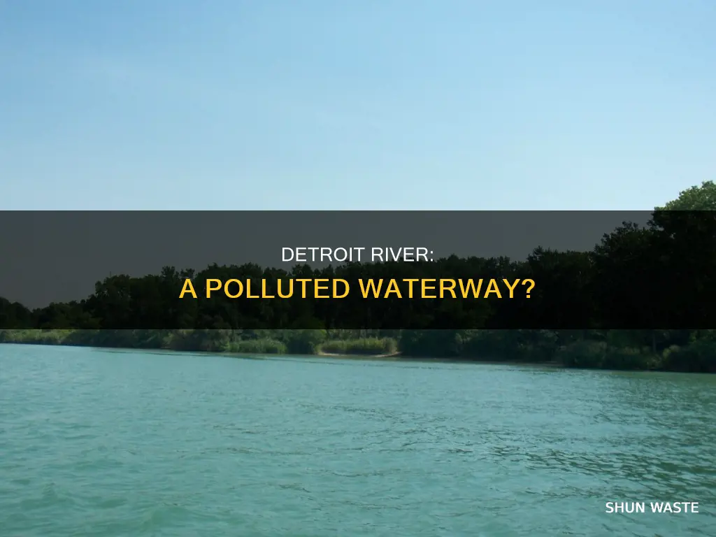 is the detroit river polluted