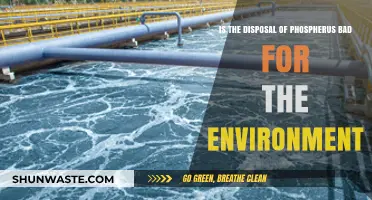 Phosphorus Disposal: Environmental Impact and Sustainable Management Strategies