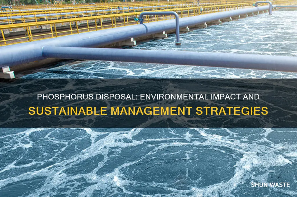 is the disposal of phospherus bad for the environment