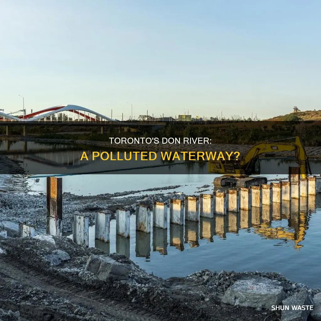is the don river polluted