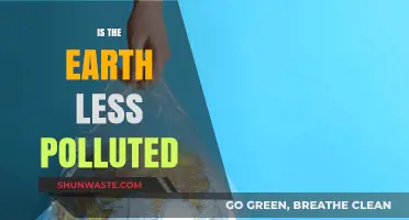 The Earth's Pollution: A Brighter Future?