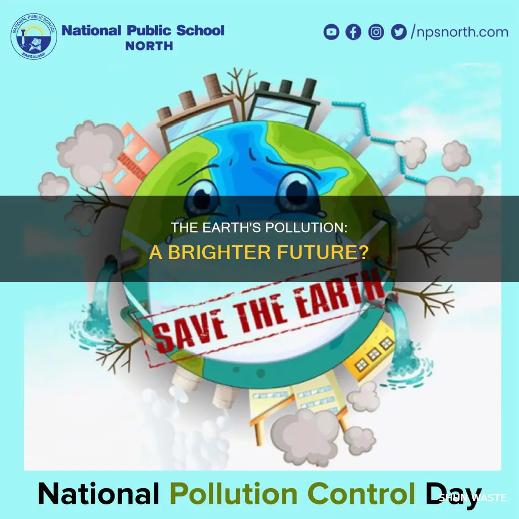 is the earth less polluted