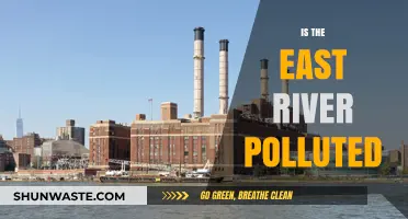 The East River's Pollution Problem