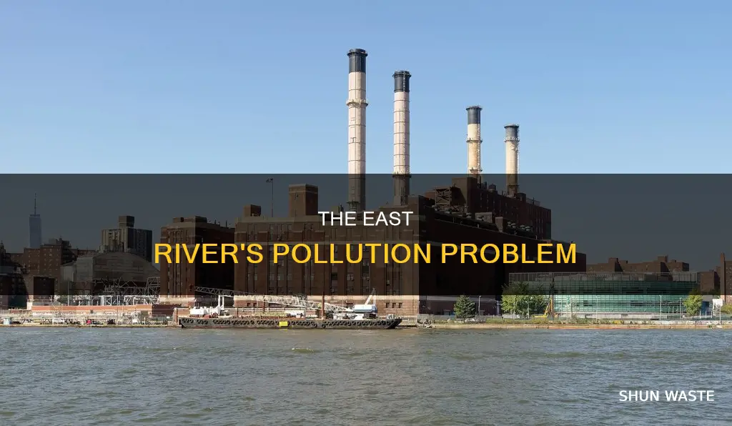 is the east river polluted