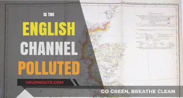 The English Channel: Polluted or Pristine?