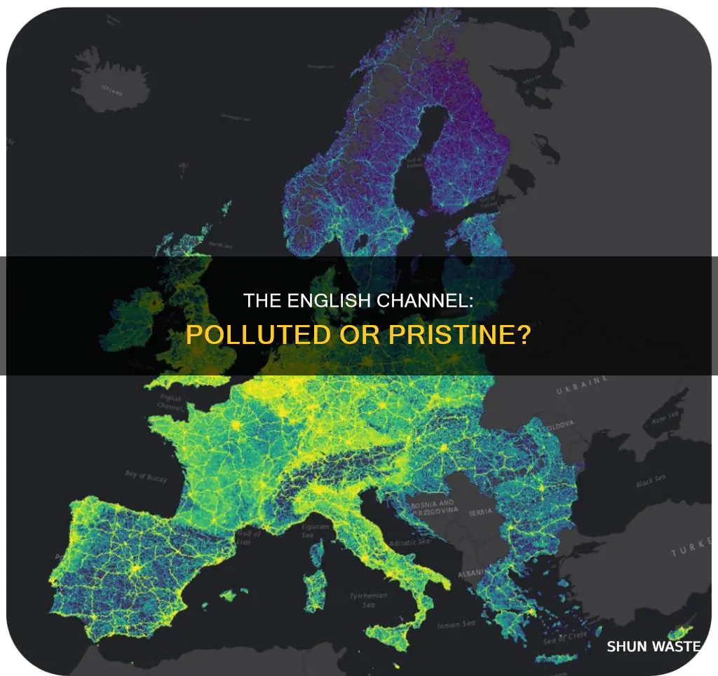 is the english channel polluted