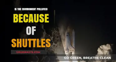 Space Shuttle Impact: Environmental Pollution and Its Effects