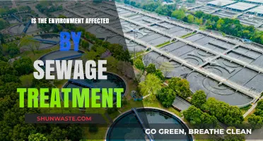 Sewage Treatment's Environmental Impact: Benefits, Challenges, and Sustainable Solutions
