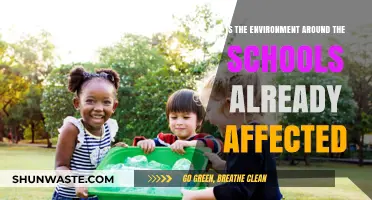 Are Schools Harming Their Surroundings? Examining Environmental Impact
