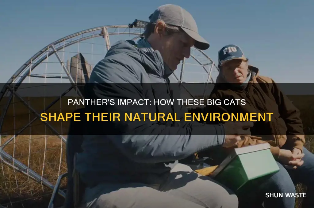 is the environment changed by panther