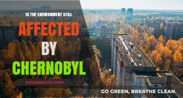 Chernobyl's Lingering Impact: How the Environment Still Suffers Today