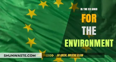 EU Environmental Impact: Benefits, Challenges, and Sustainable Future Insights