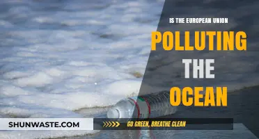 European Union's Ocean Pollution: Who's to Blame?