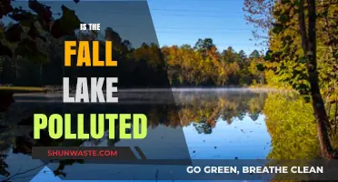 Lake Pollution: Is the Fall Lake Polluted?