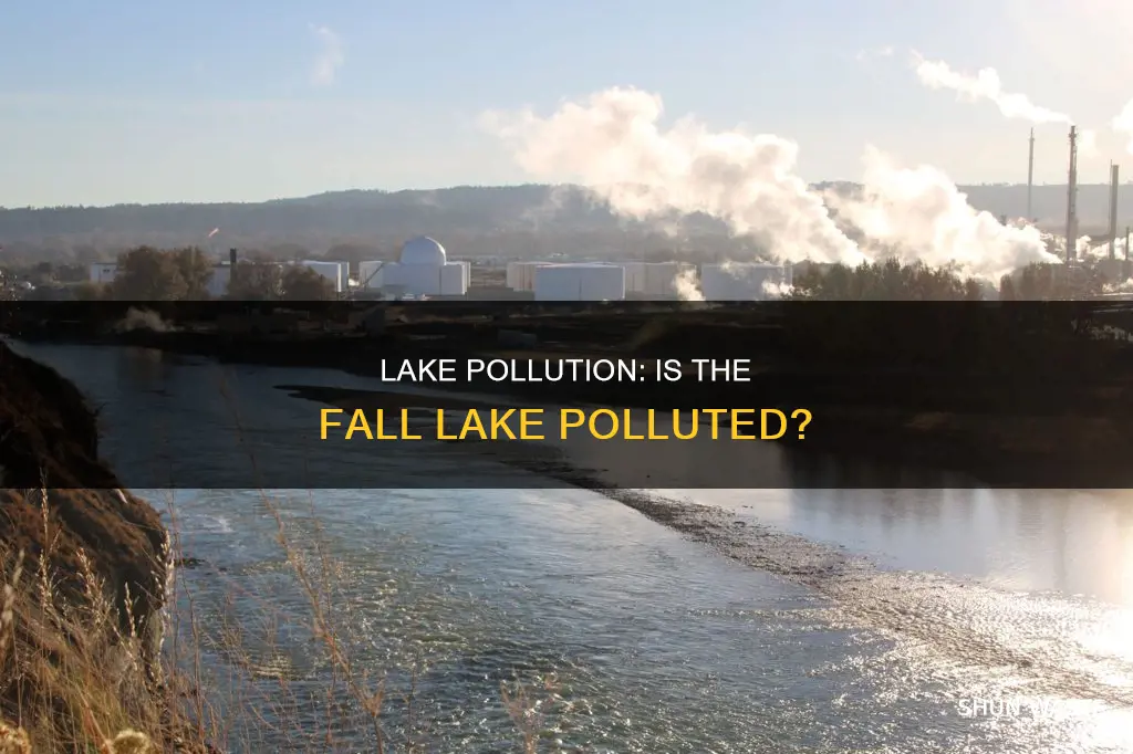 is the fall lake polluted