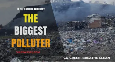 Fashion Industry: Style or Environmental Disaster?