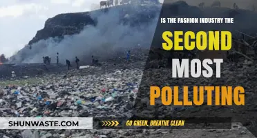 Fashion Industry: A Major Environmental Polluter?