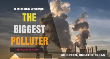 Who's the Biggest Polluter? The US Government