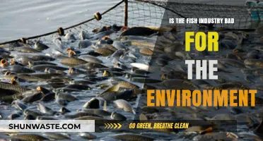 Is the Fish Industry Harming Our Planet? Environmental Impact Explored