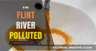 Flint River Pollution: Is It Safe?