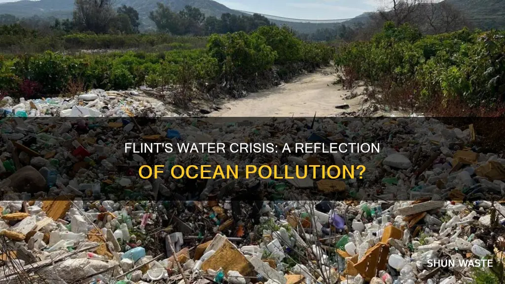 is the flint wateer crisis ocean pollution