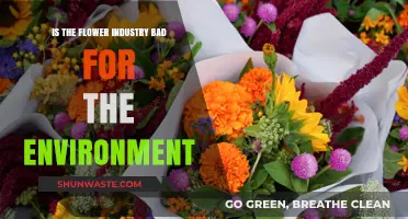 The Environmental Impact of the Flower Industry: A Critical Look