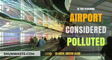 Flushing Airport: A Polluted Place?