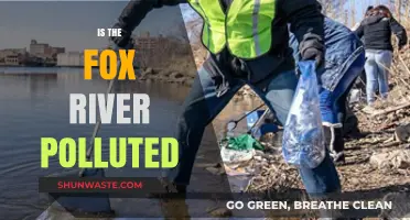 Fox River Pollution: Is It Safe?