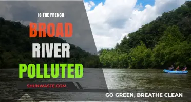 French Broad River: Is It Polluted?