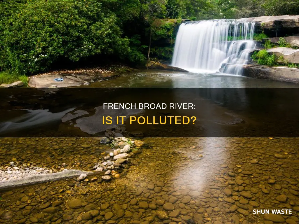 is the french broad river polluted