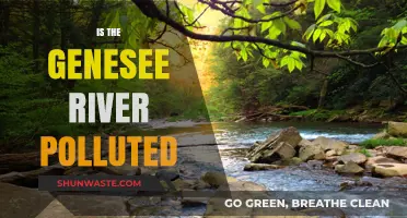 Genesee River Pollution: Is It Safe?