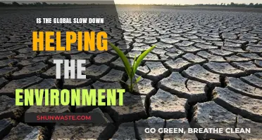 Global Slowdown's Silver Lining: Environmental Benefits Amid Economic Pause