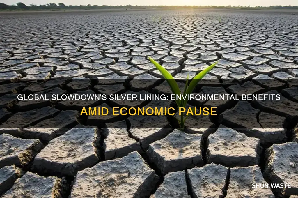 is the global slow down helping the environment