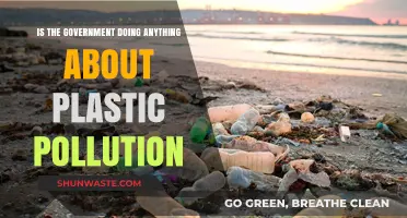 Combating Plastic Pollution: What's the Government's Role?