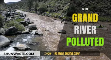 The Grand River: A Polluted Paradise?
