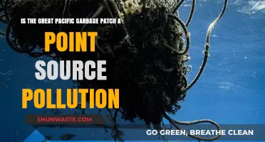 The Great Pacific Garbage Patch: Point-Source Pollution?