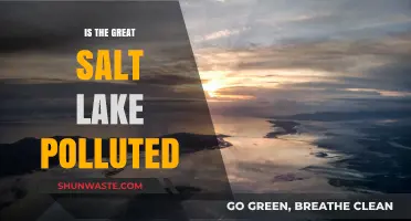 Salt Lake Pollution: What's the Status?