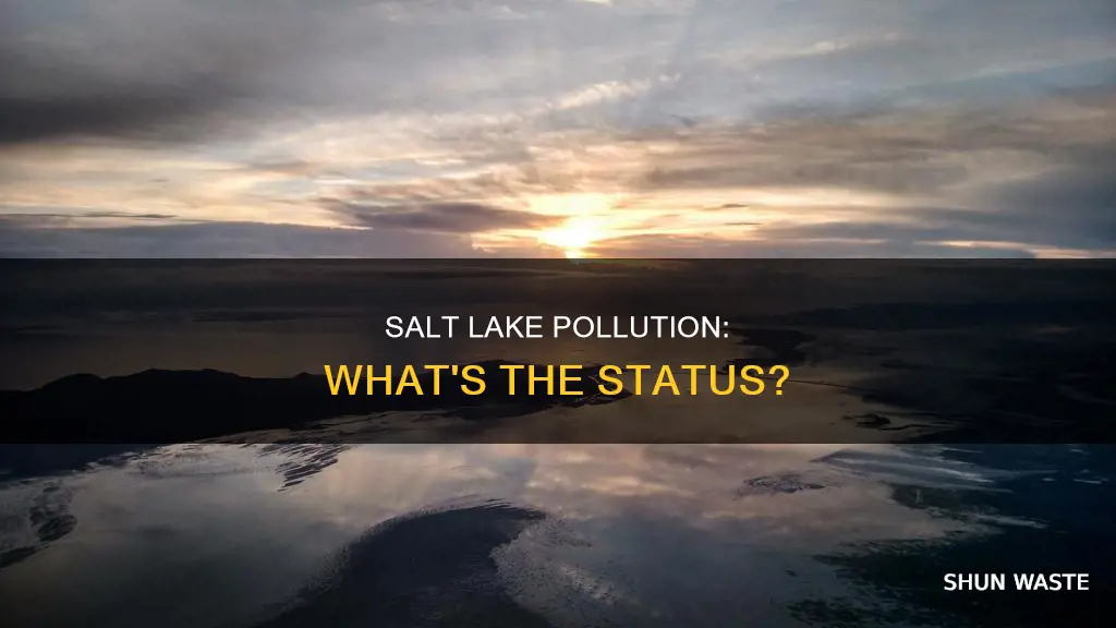 is the great salt lake polluted