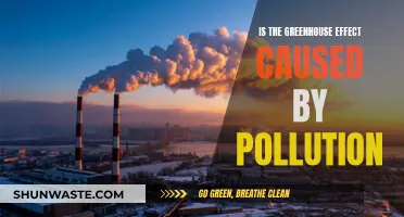 Pollution's Role in the Greenhouse Effect: A Complex Relationship