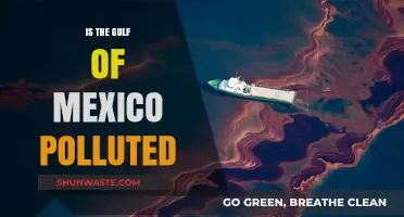 The Gulf of Mexico: A Polluted Paradise?